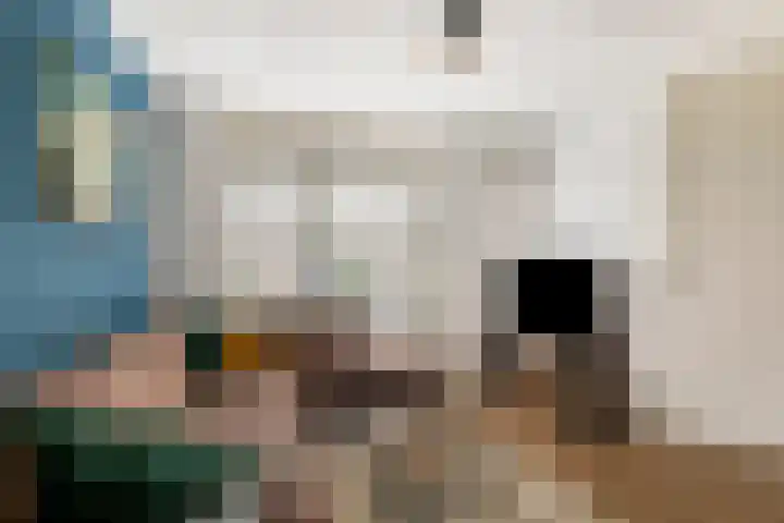 Hondsdraf 132 Swifterbant thumbnail 8