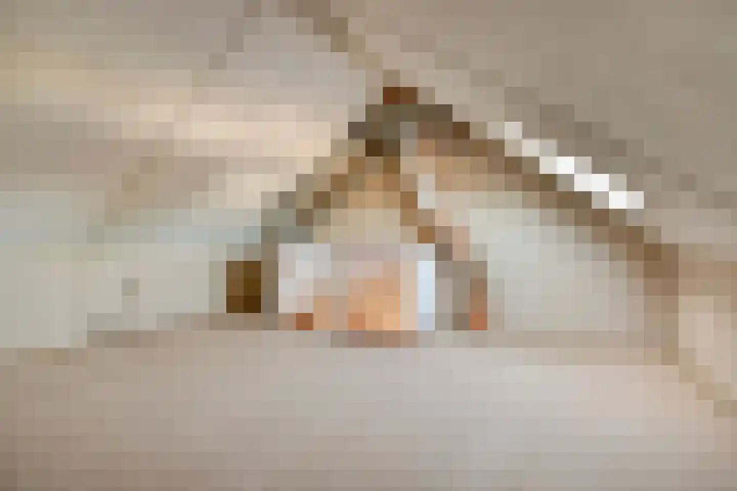 Hondsdraf 14 Alblasserdam thumbnail 17