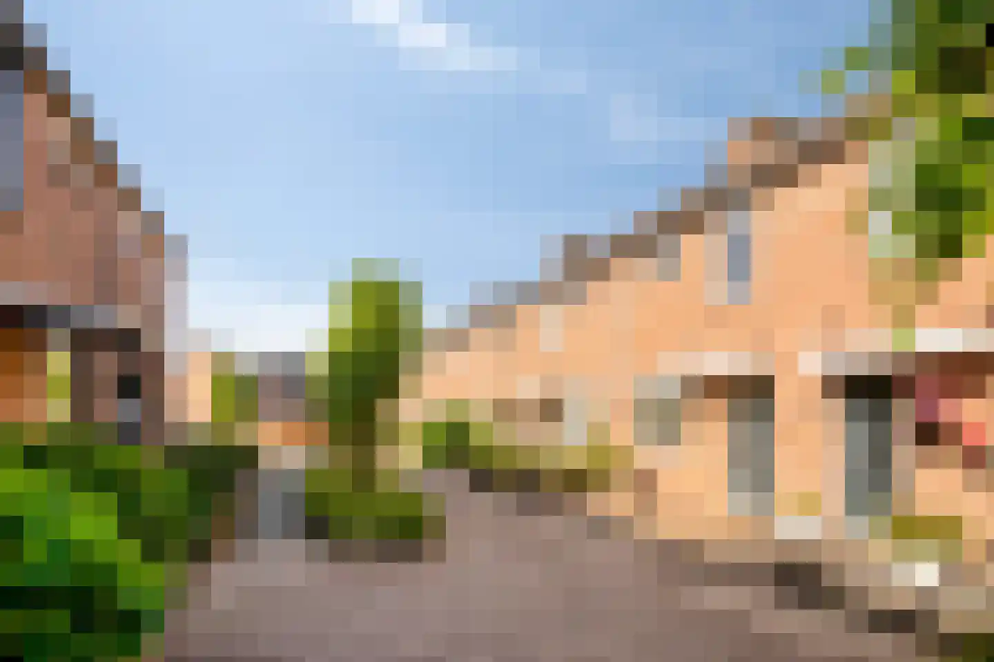Hondsdraf 14 Alblasserdam thumbnail 22