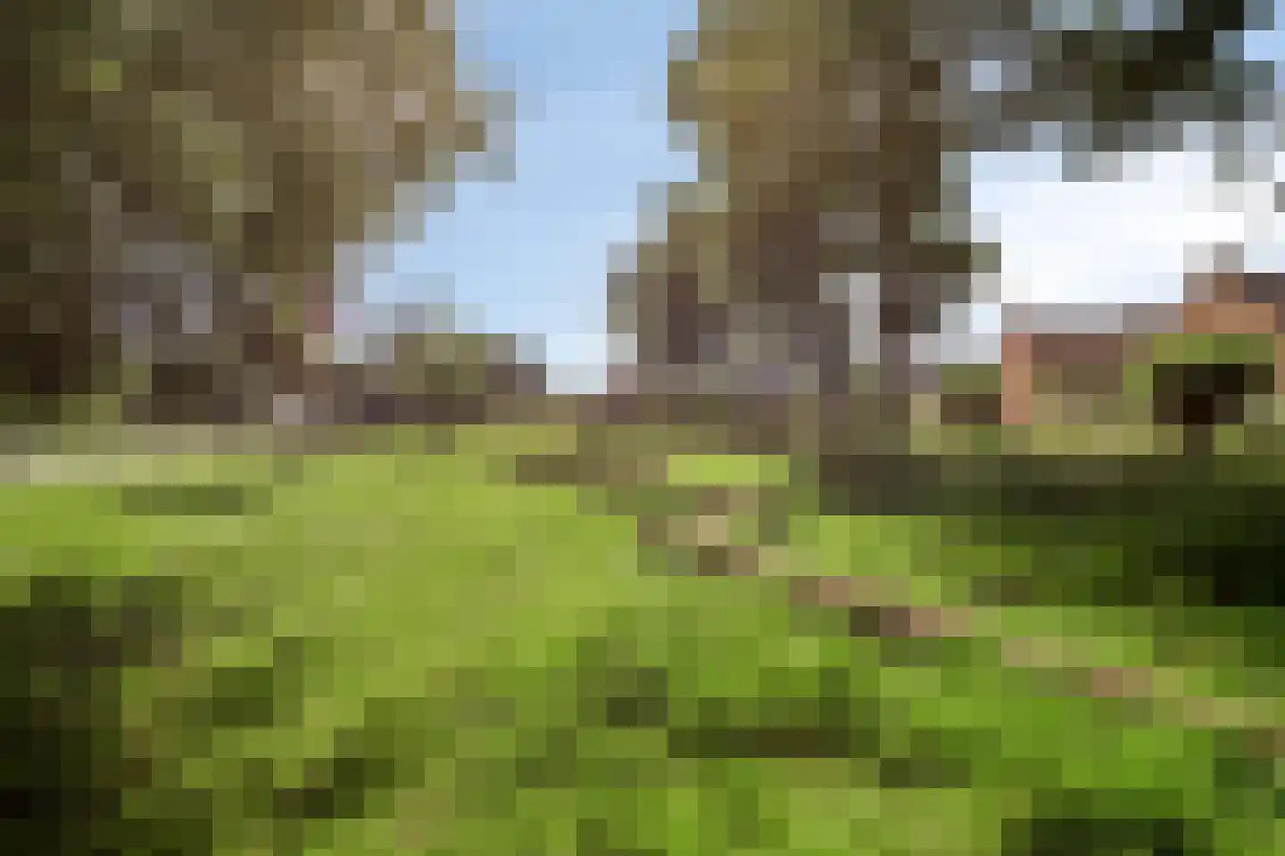 Hondsdraf 14 Alblasserdam thumbnail 23