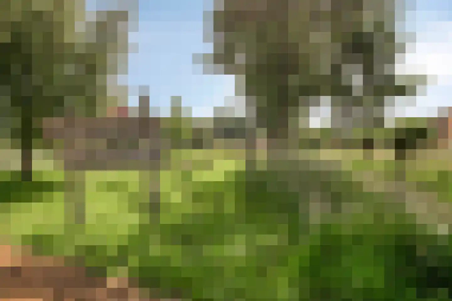 Hondsdraf 14 Alblasserdam thumbnail 25