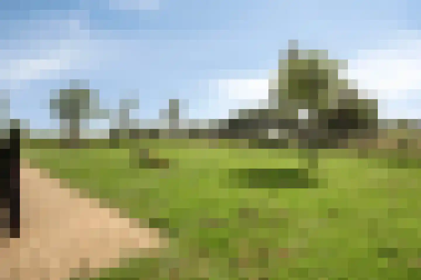 Hondsdraf 14 Alblasserdam thumbnail 26