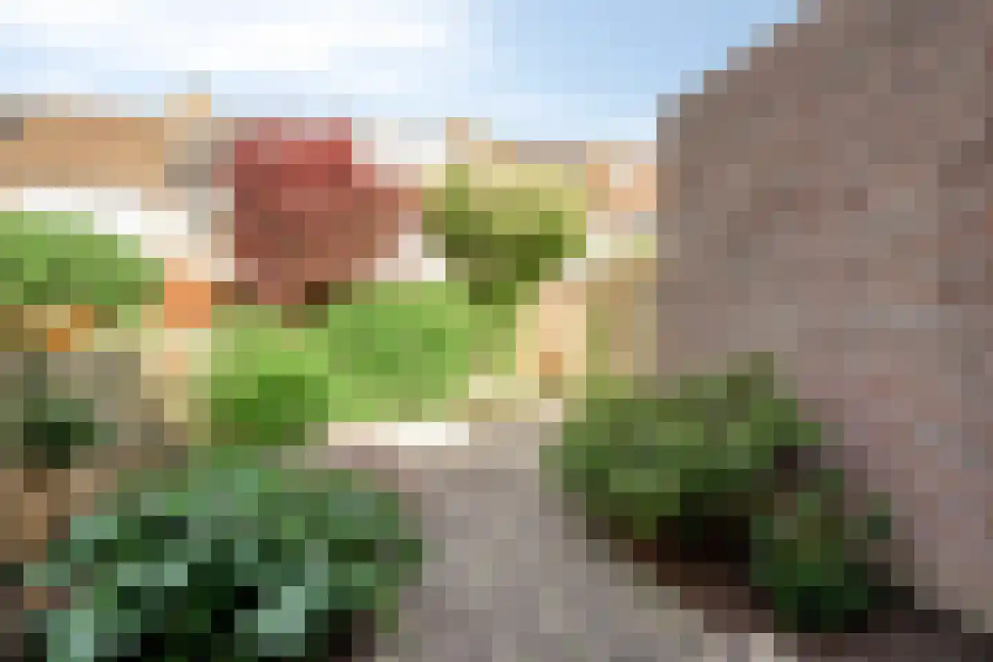 Hondsdraf 14 Alblasserdam thumbnail 5