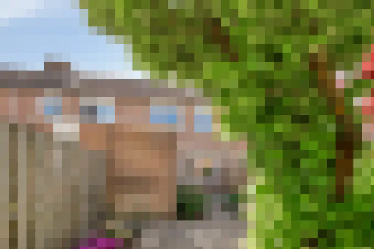 Hondsdraf 14 Alblasserdam thumbnail 6