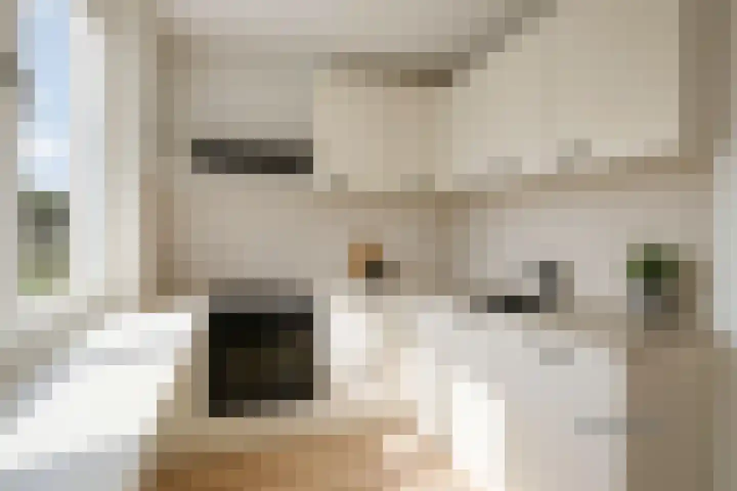 Hondsdraf 14 Alblasserdam thumbnail 9