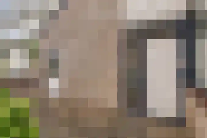 Hondsdraf 14 Oldenzaal thumbnail 19