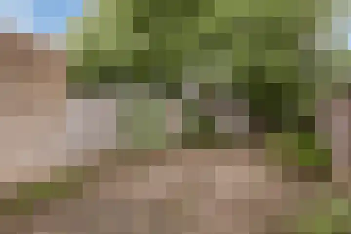 Hondsdraf 14 Oldenzaal thumbnail 21