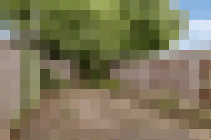 Hondsdraf 14 Oldenzaal thumbnail 22