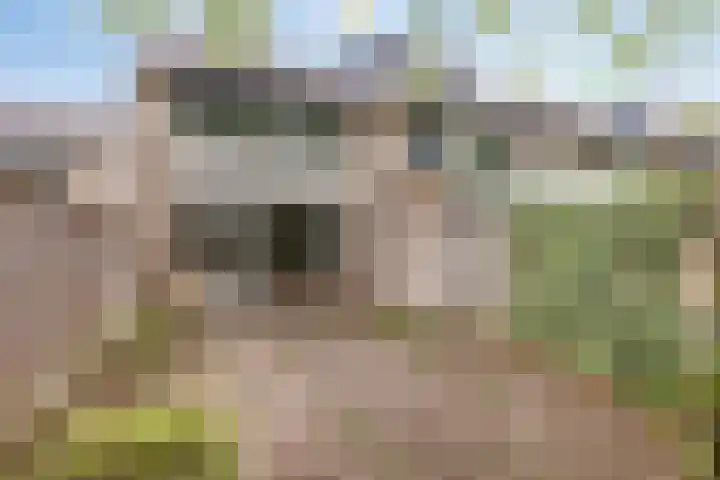 Hondsdraf 14 Oldenzaal thumbnail 23
