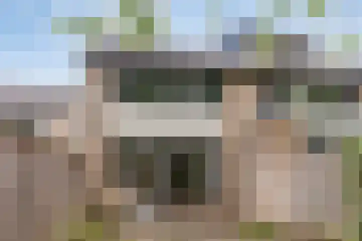 Hondsdraf 14 Oldenzaal thumbnail 24