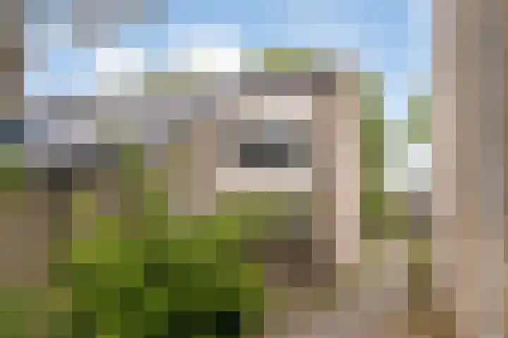 Hondsdraf 14 Oldenzaal thumbnail 25