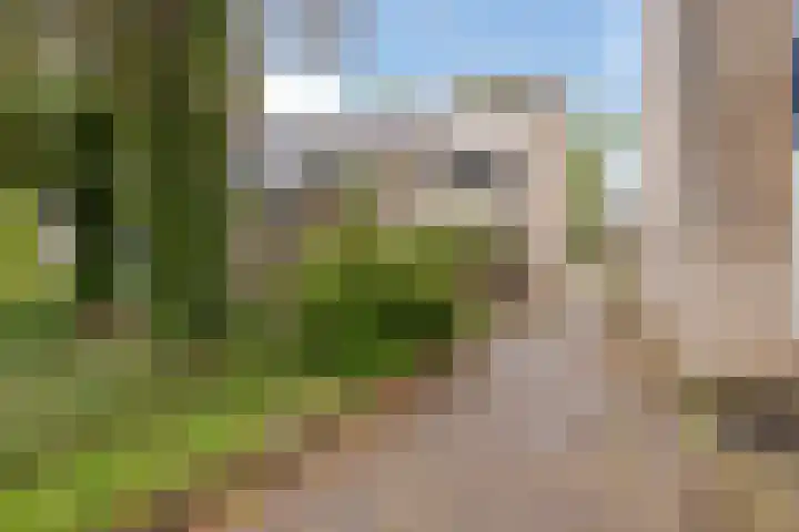 Hondsdraf 14 Oldenzaal thumbnail 26
