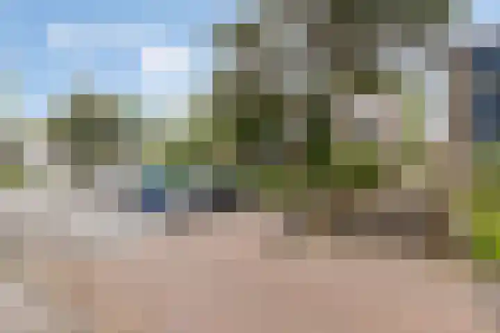 Hondsdraf 14 Oldenzaal thumbnail 27