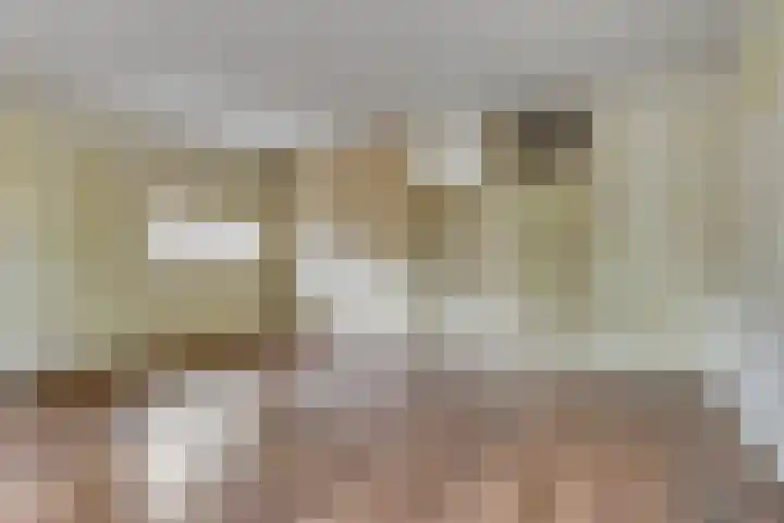 Hondsdraf 14 Oldenzaal thumbnail 6