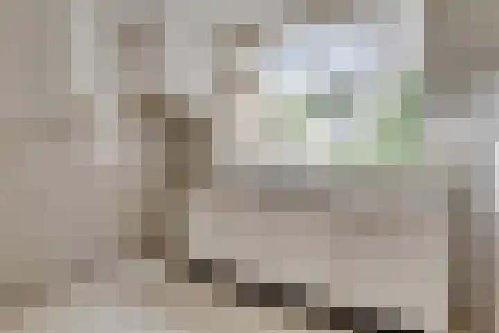 Hondsdraf 14 Oldenzaal thumbnail 7