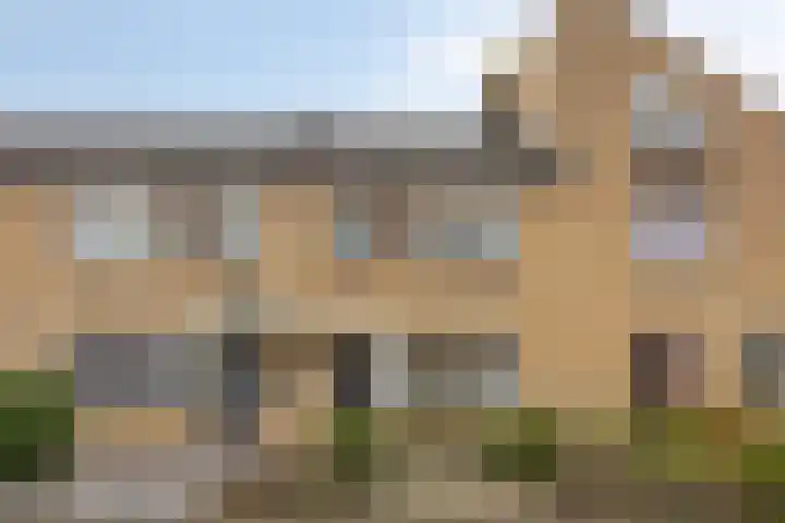 Hondsdraf 15 dans Terheijden