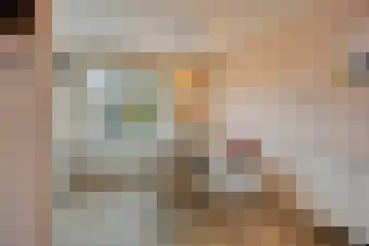 Hondsdraf 15 Terheijden thumbnail 10