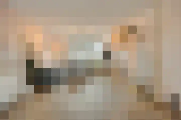 Hondsdraf 15 Terheijden thumbnail 12