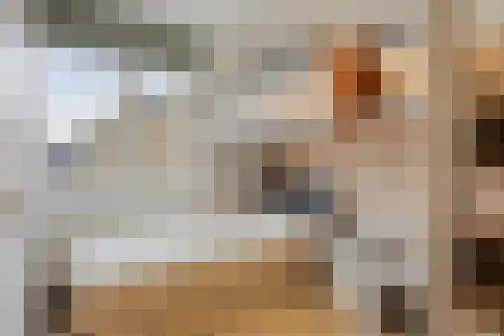Hondsdraf 15 Terheijden thumbnail 18