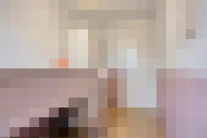 Hondsdraf 15 Terheijden thumbnail 20