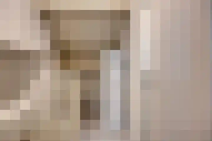 Hondsdraf 15 Terheijden thumbnail 21