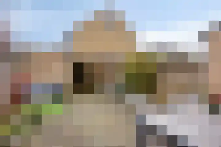 Hondsdraf 15 Terheijden thumbnail 26