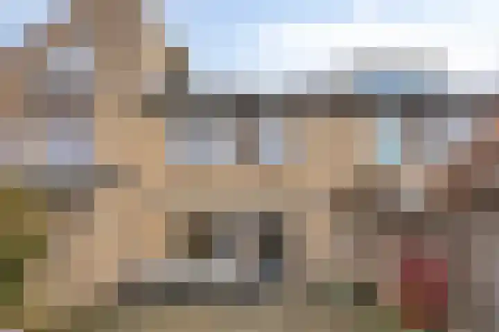 Hondsdraf 15 Terheijden thumbnail 28