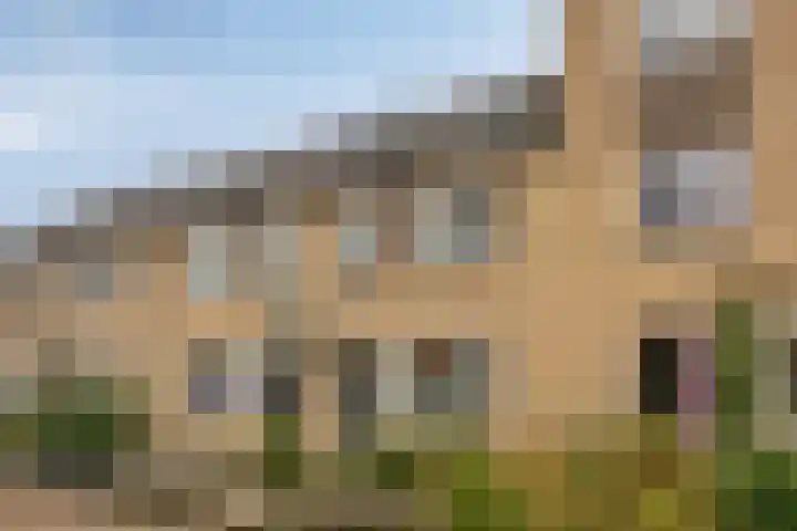 Hondsdraf 15 Terheijden thumbnail 5