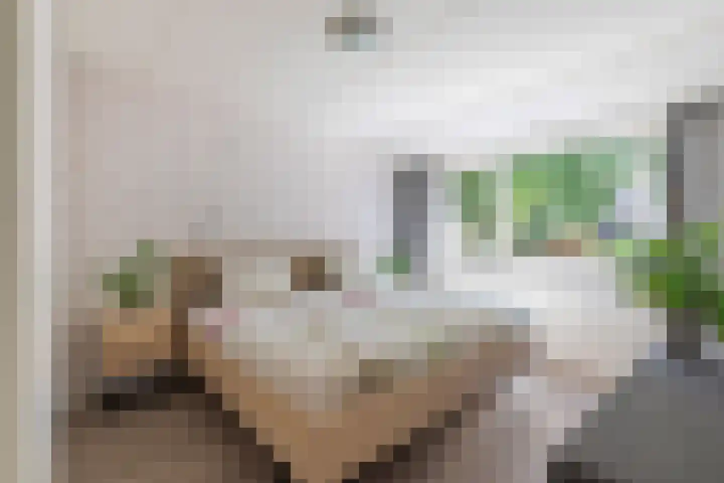 Hondsdraf 16 Oldenzaal thumbnail 12
