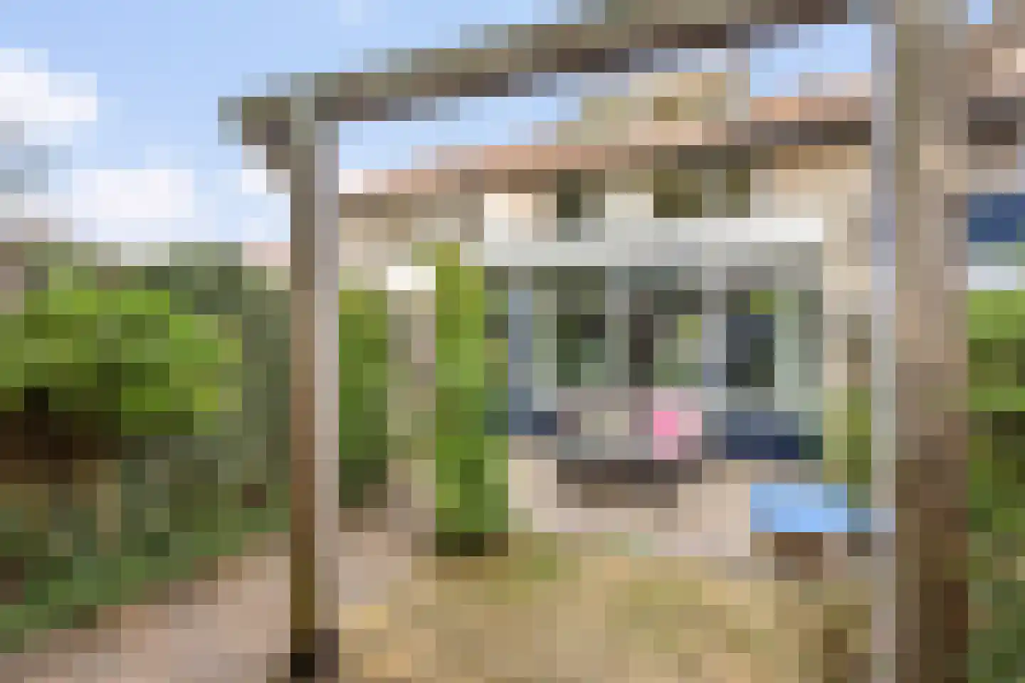 Hondsdraf 16 Oldenzaal thumbnail 17