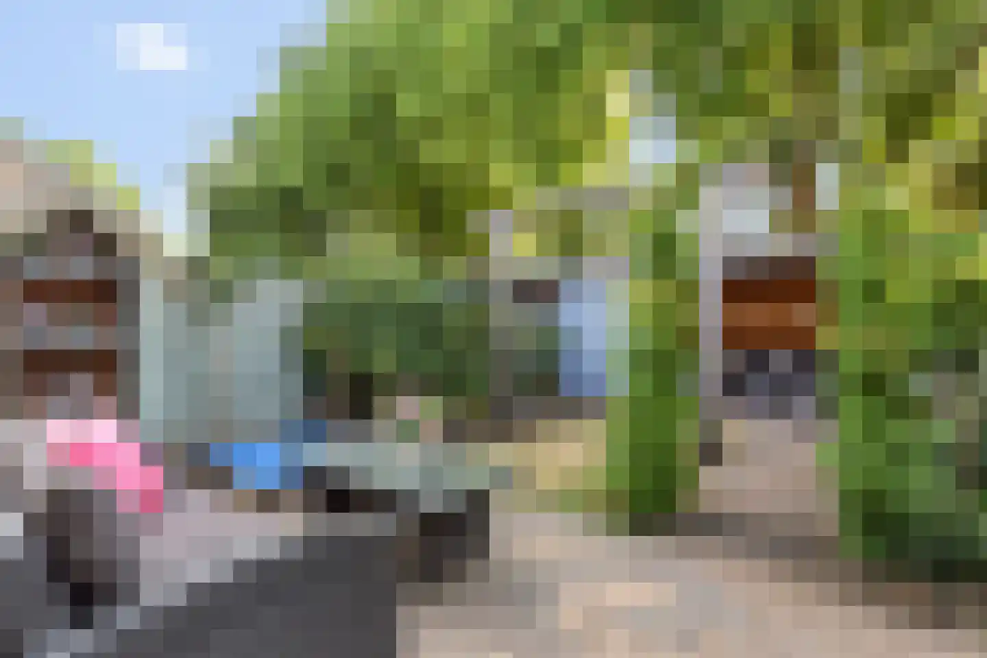 Hondsdraf 16 Oldenzaal thumbnail 18