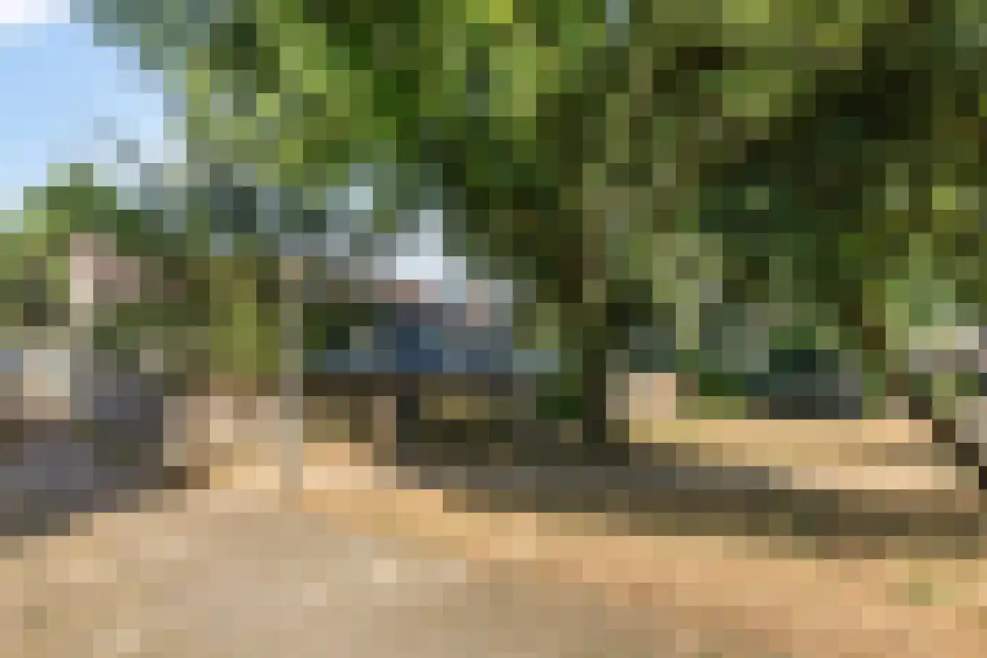 Hondsdraf 16 Oldenzaal thumbnail 20