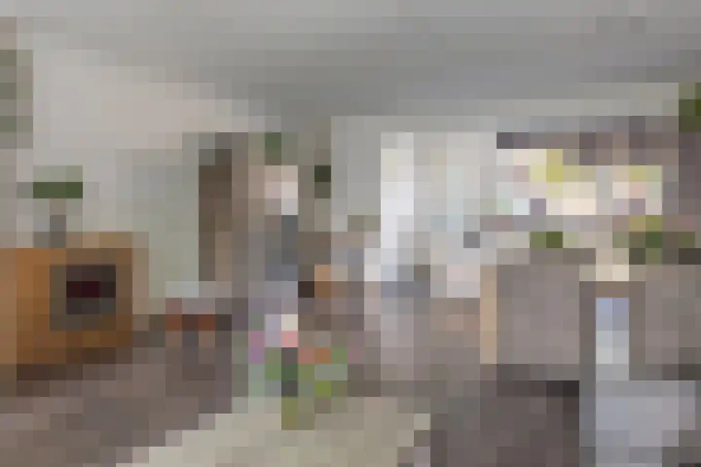 Hondsdraf 16 Oldenzaal thumbnail 8