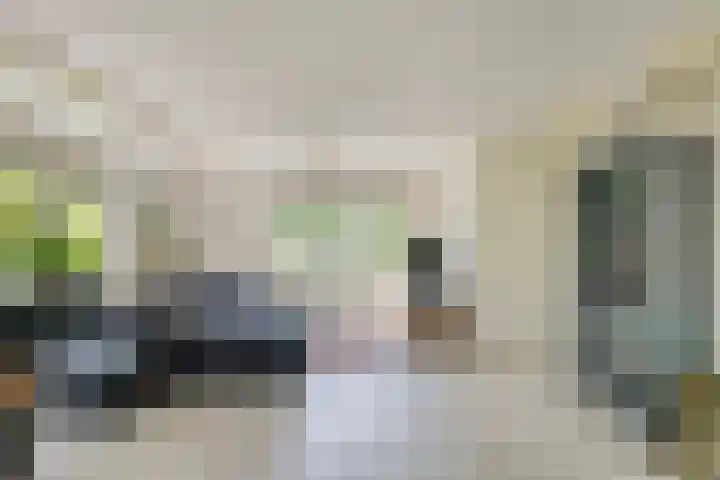 Hondsdraf 160 Swifterbant thumbnail 11