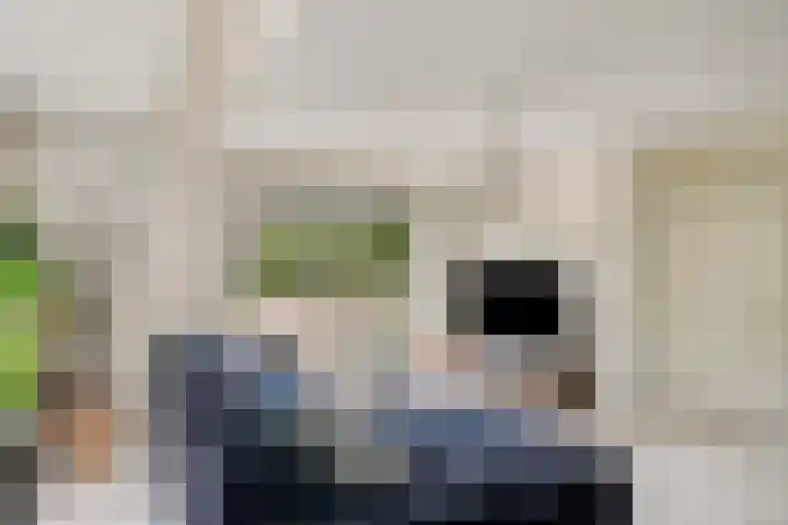 Hondsdraf 160 Swifterbant thumbnail 12