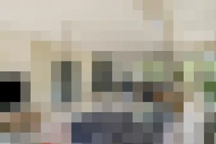 Hondsdraf 160 Swifterbant thumbnail 13