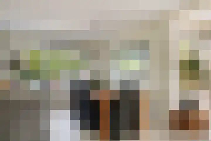 Hondsdraf 160 Swifterbant thumbnail 15