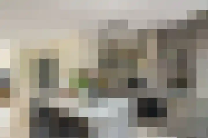 Hondsdraf 160 Swifterbant thumbnail 17