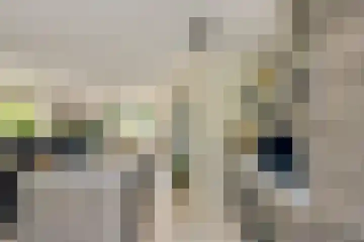 Hondsdraf 160 Swifterbant thumbnail 18
