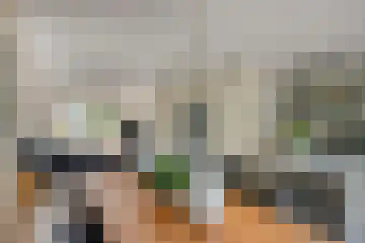 Hondsdraf 160 Swifterbant thumbnail 19