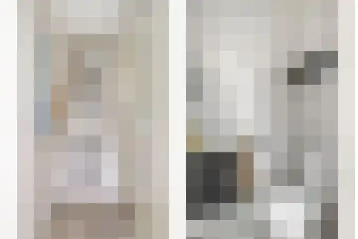 Hondsdraf 160 Swifterbant thumbnail 21