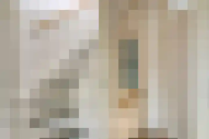 Hondsdraf 160 Swifterbant thumbnail 22