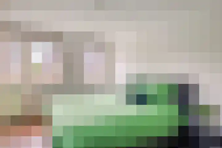Hondsdraf 160 Swifterbant thumbnail 24