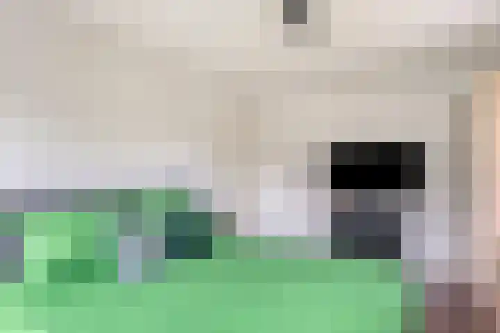 Hondsdraf 160 Swifterbant thumbnail 25