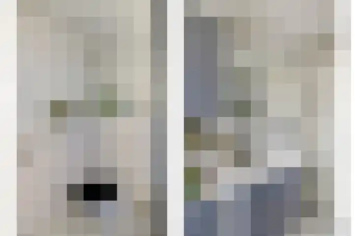 Hondsdraf 160 Swifterbant thumbnail 28