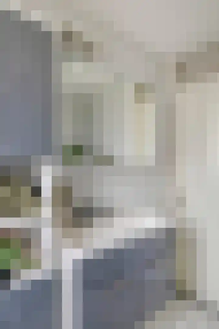 Hondsdraf 160 Swifterbant thumbnail 29