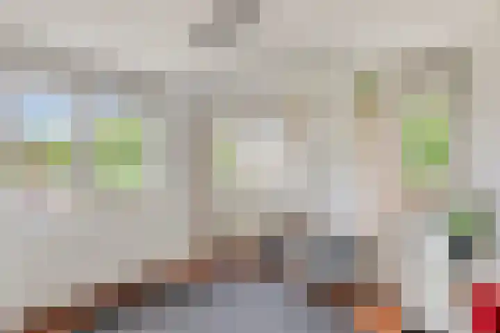 Hondsdraf 160 Swifterbant thumbnail 32