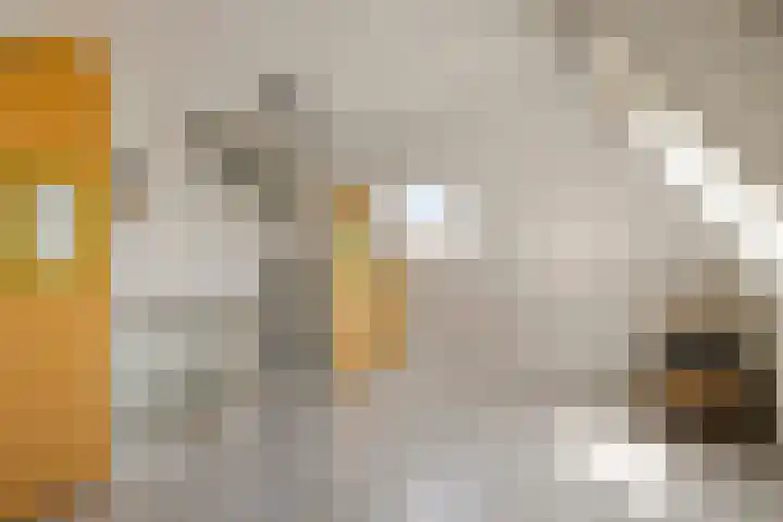 Hondsdraf 160 Swifterbant thumbnail 38