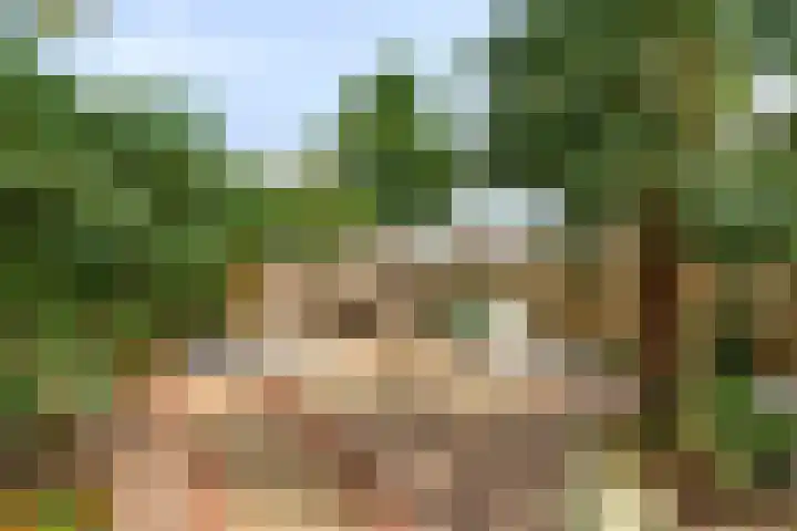 Hondsdraf 160 Swifterbant thumbnail 39