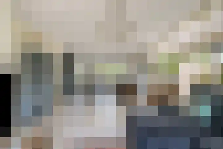 Hondsdraf 160 Swifterbant thumbnail 4